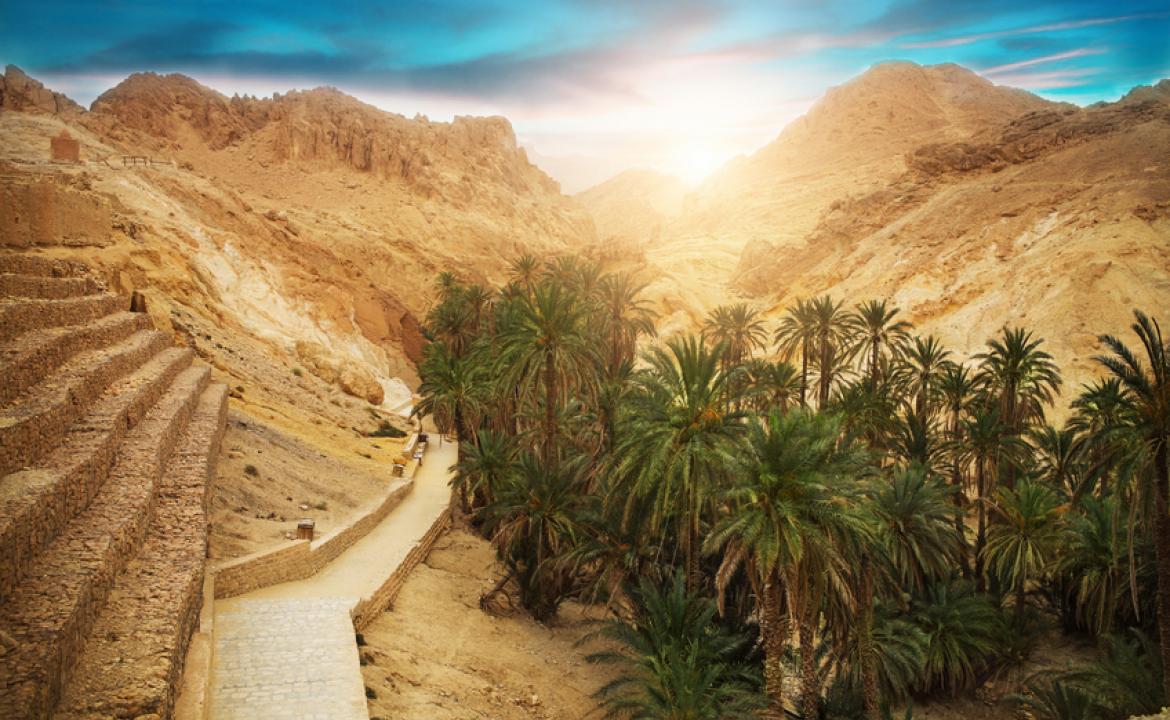 Sahara 2019